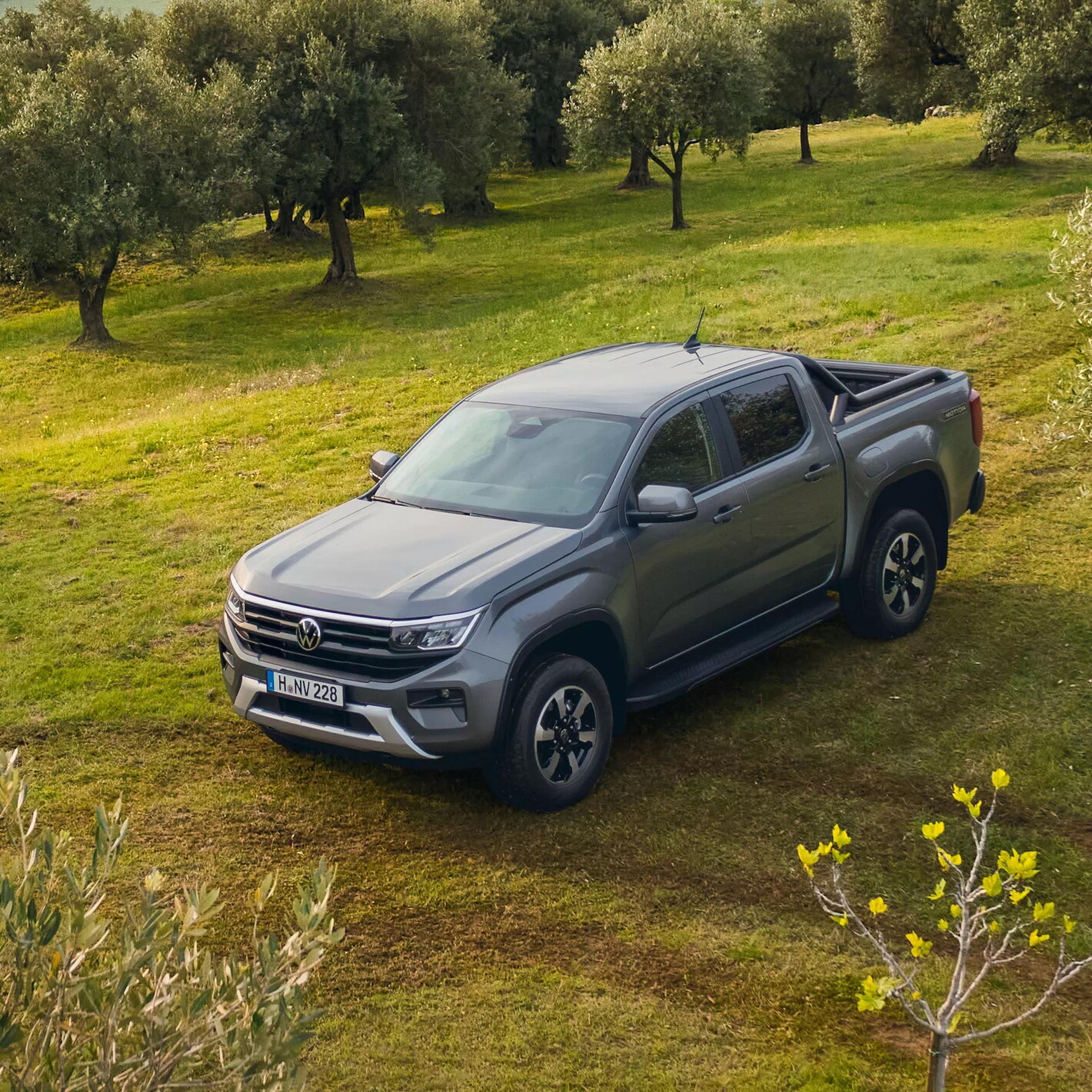 Volkswagen bedrijfsvoertuigen Amarok in het bos op het gras