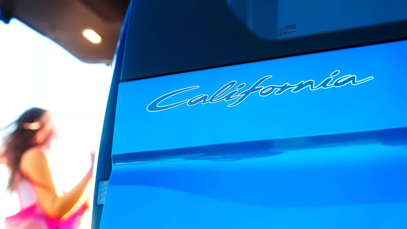 Volkswagen bedrijfsvoertuigen caddy california achterkant bij hermans herentals